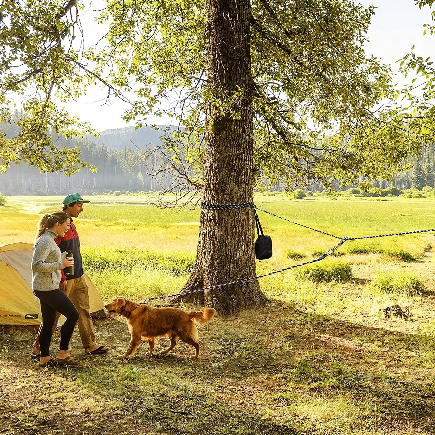 Dog Camping Essentials,Tie Out Cable for Camping,50Ft Portable Overhead Trolley System with 10Ft Runner Lead for Dogs up to 200Lbs,Portable Reflective Dog Lead Line for Yard, Park and Outdoor (Black)