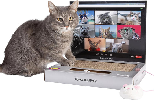 Scratchpad Pro — Cardboard Laptop Cat Scratcher, Interactive Cat Toys for Indoor Cats, Kitten Supplies and Cat Stuff by Relatable