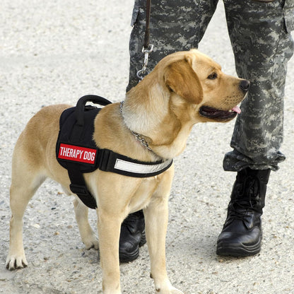 12 Pieces Removable Service Dog Vest Patches Do Not Pet in Training Emotional Support Dog Vest Patches(3.6 X 1.6Inch)