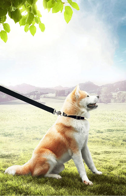 15Ft 20Ft 30Ft 40Ft 50Ft Long Dog/Puppy Lead Obedience Recall Training Dog Leashes for Small Medium Dogs Camping, Training, Play, or Backyard (50 FT, Black)