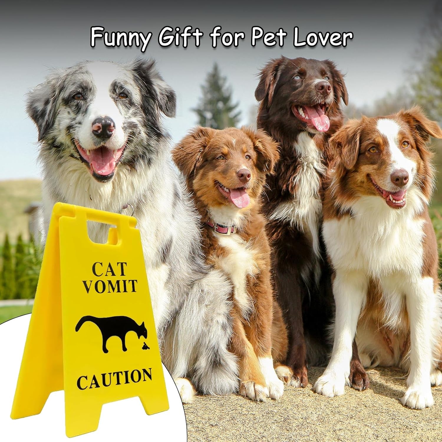 Dog and Cat Vomit Caution Sign 6Pcs Cat Vomit Sign 5 Inches Cats Vomits Warning Signs Desk Decorations Funny Novelty Cats Signs Best Gifts for Cat Lovers and Pet Enthusiasts(Yellow-C)