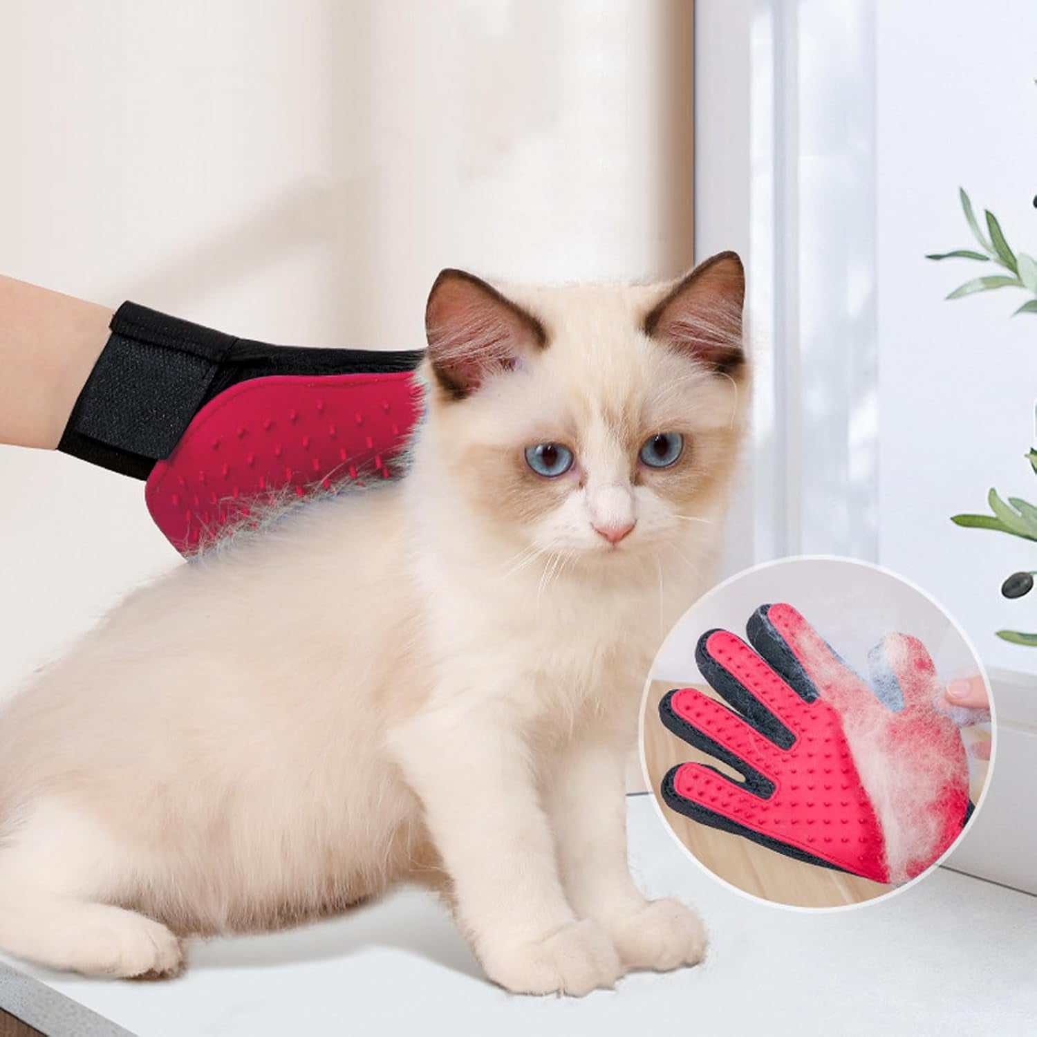 Kitten Starter Kit, 15-Piece Cat Essentials Set Includes Litter Box, Toys, Collars, Scratch Pad, Nail File, Automatic Feed Bowls, Grooming Gloves (Pink)