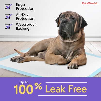 2XL Dog Pee Pads 28"X44" 100 Count – Extra Large Pet Pee Pads for Dogs & Puppies, Heavy Duty Leak-Proof Dog Training Pads, Super Absorbent Quick-Dry Potty Pads with Odor Control
