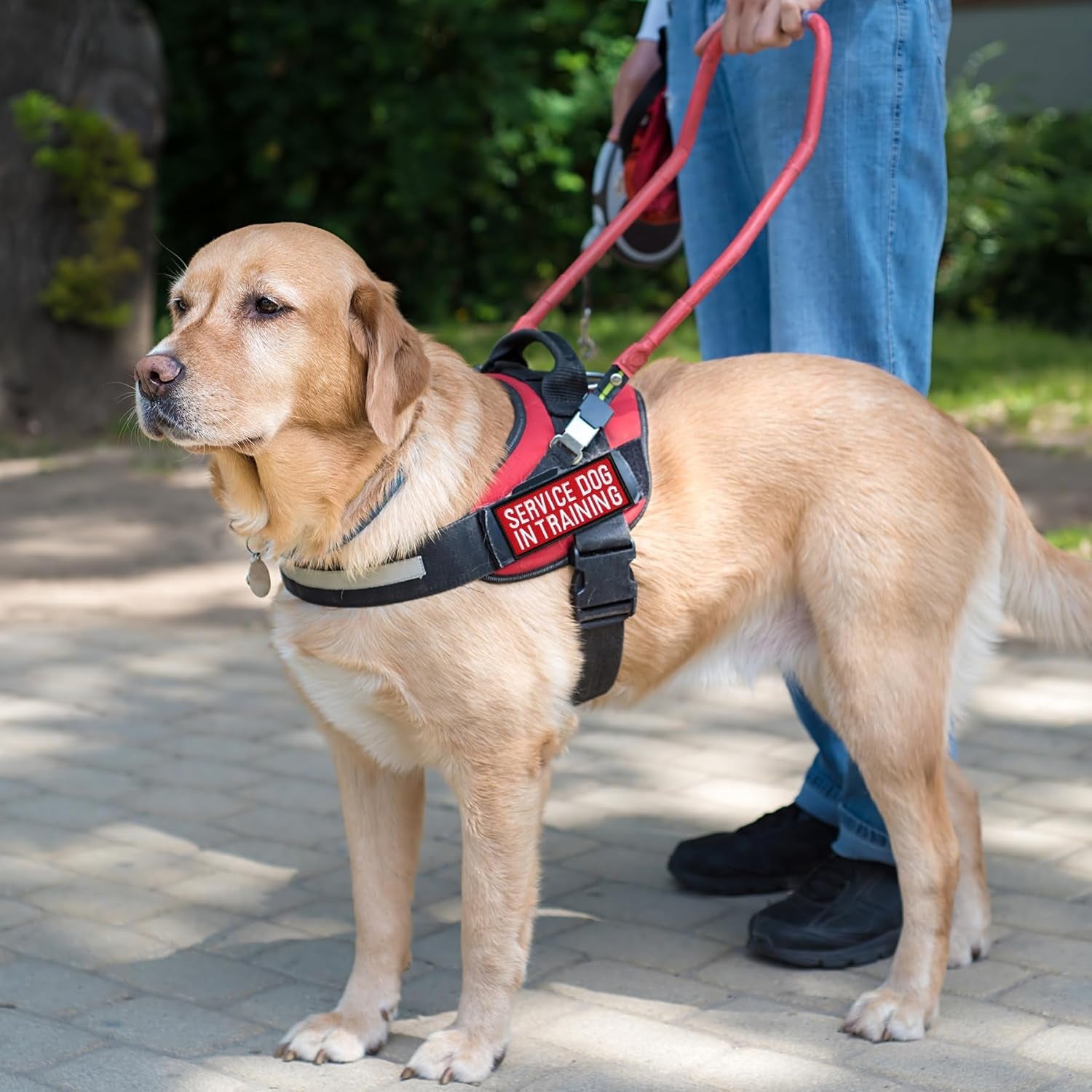 12 Pieces Removable Service Dog Vest Patches Do Not Pet in Training Emotional Support Dog Vest Patches(3.6 X 1.6Inch)