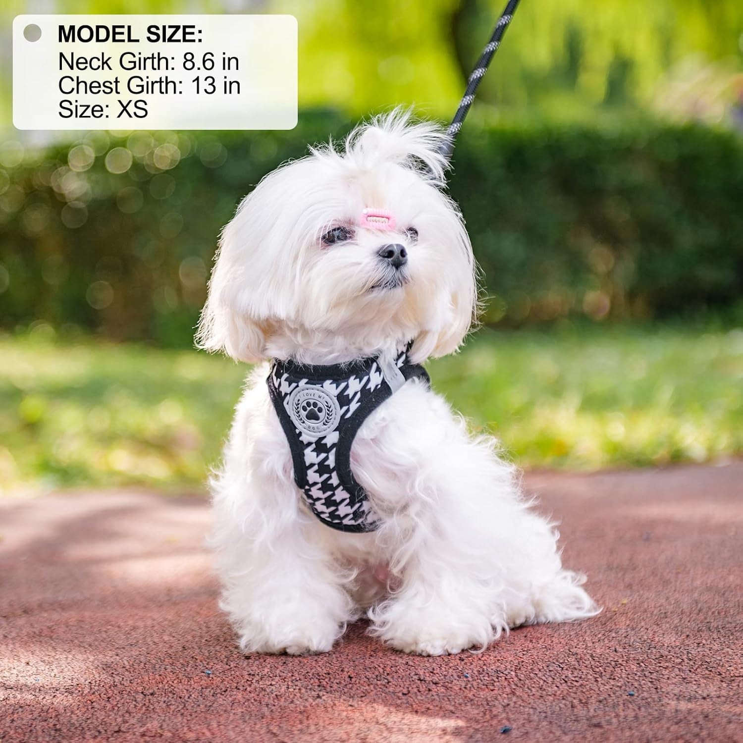 Small Dog Harness and Leash Set,Step in No Choke No Pull Soft Mesh Dog Harnesses Reflective for Extra-Small/Small Medium Puppy Dogs and Cats, Plaid Dog Vest Harness for XS S Pets, Black XXS