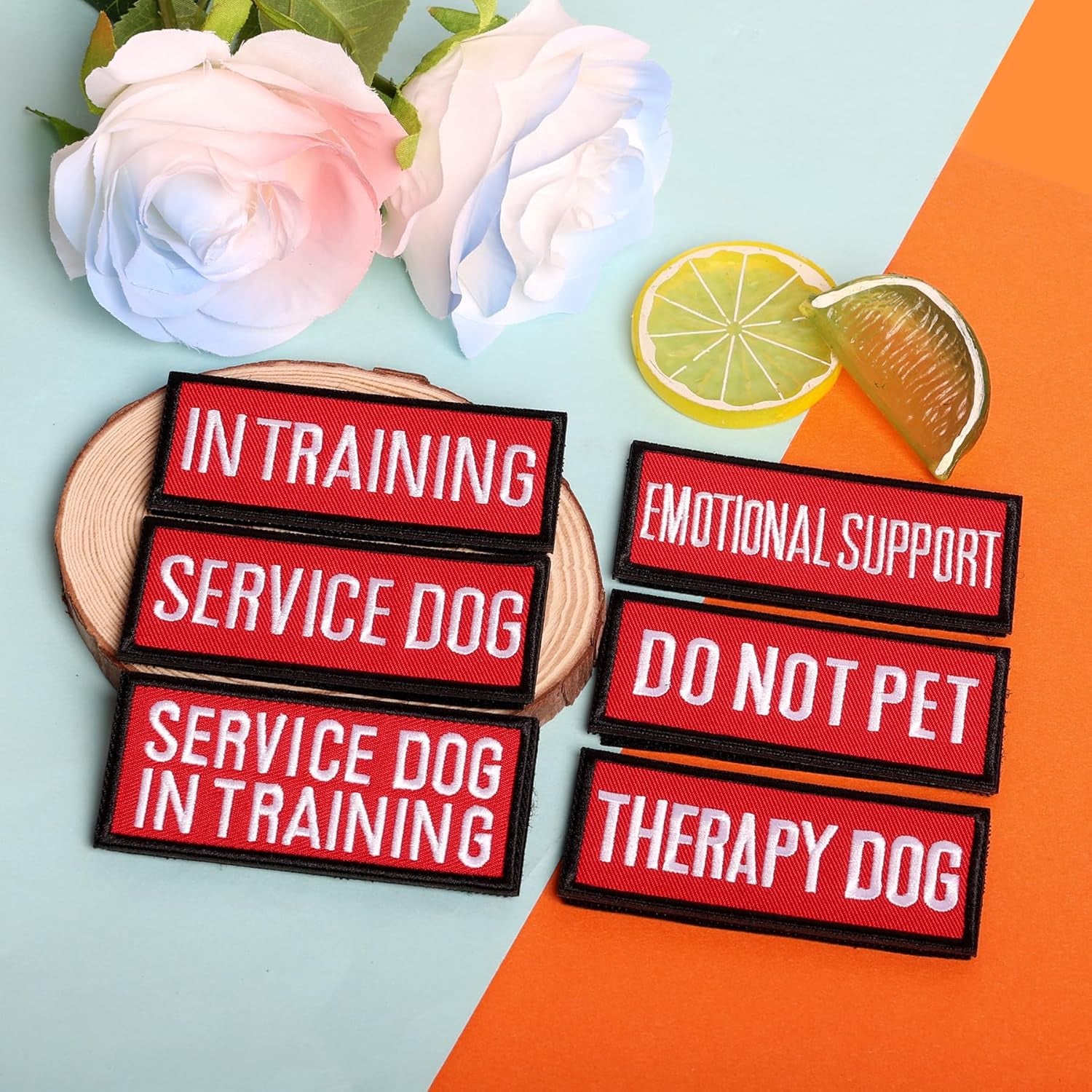 12 Pieces Removable Service Dog Vest Patches Do Not Pet in Training Emotional Support Dog Vest Patches(3.6 X 1.6Inch)