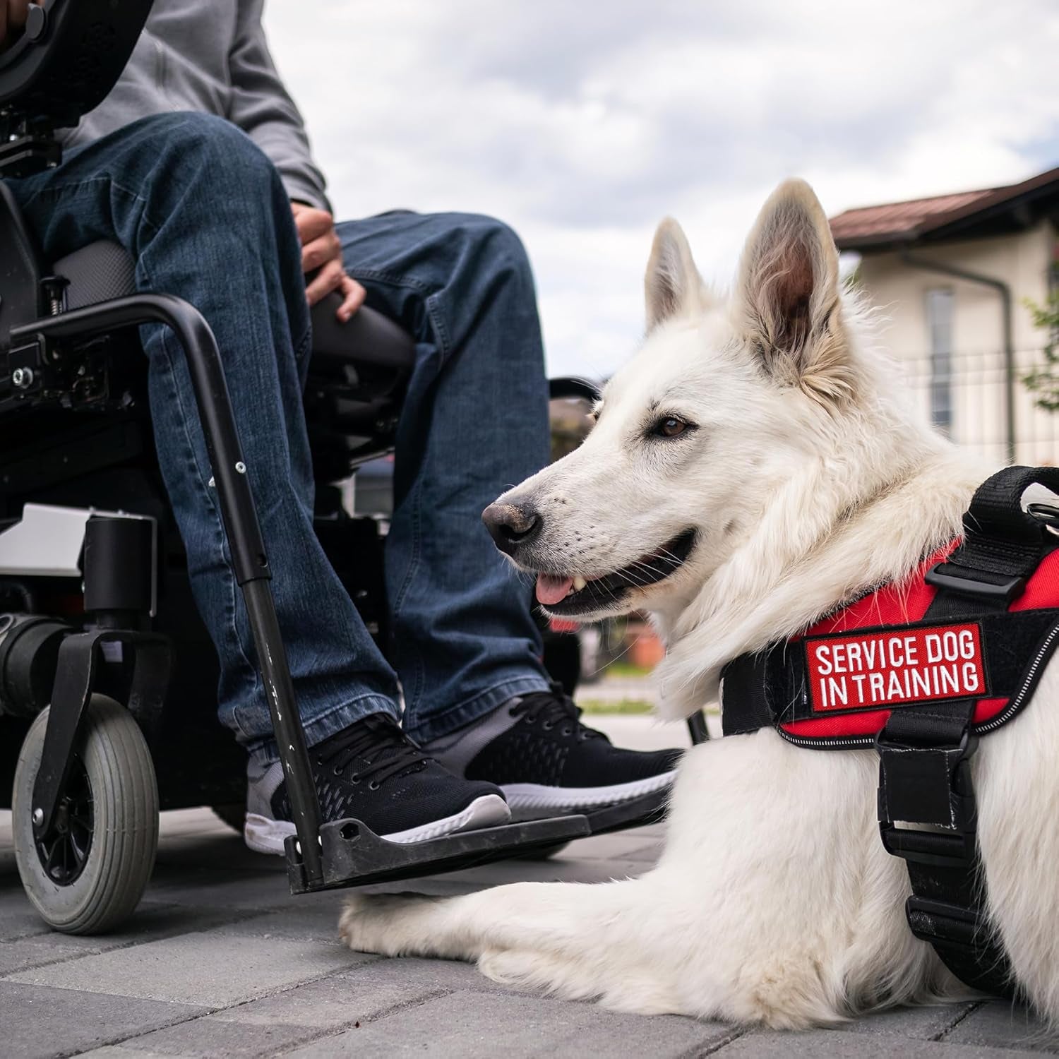 12 Pieces Removable Service Dog Vest Patches Do Not Pet in Training Emotional Support Dog Vest Patches(3.6 X 1.6Inch)