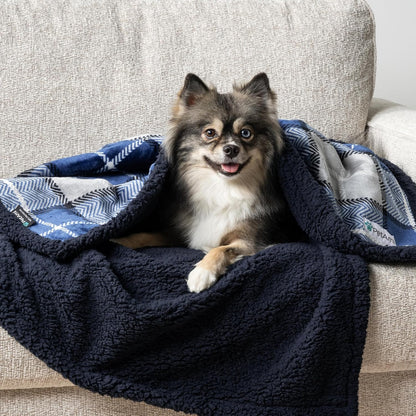 Waterproof Dog Blanket for Couch, Pee Proof Sherpa Fleece Reversible Pet Throw, Furniture Protector for Bed Sofa Kennel, Soft Washable Cover for Small Medium Dog Puppy Cat, 29X40 Plaid Blue